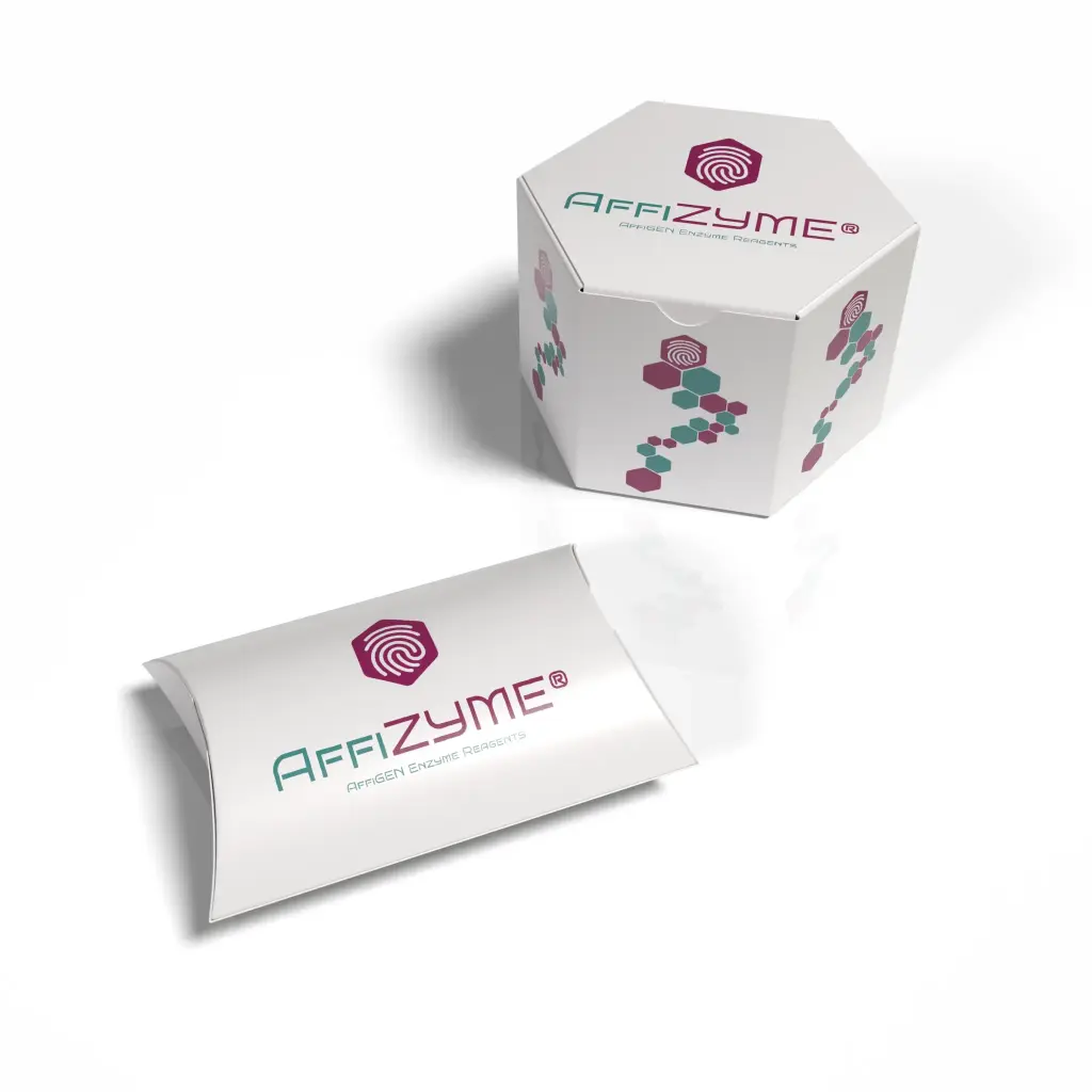 AffiZYME® Deoxyribonuclease I