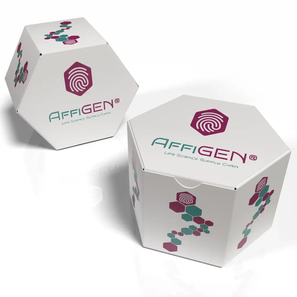 AffiZYME® TGIX‑RTase Reverse Transcriptase